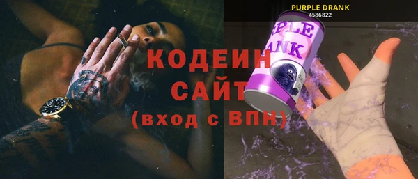 мдпв Инсар