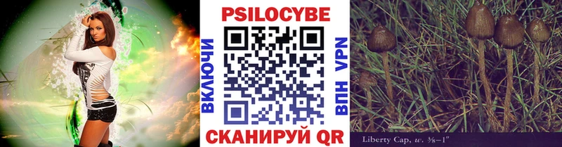 Псилоцибиновые грибы мицелий Опочка